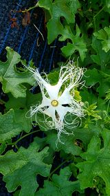 팜모닝 자유주제·사진전 게시글 이미지