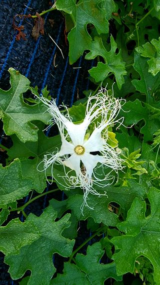 희망농부58님의 자유주제 · 사진전 작성글 사진