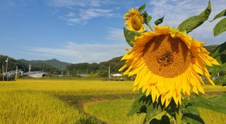 희망농부58님의 자유주제 · 사진전 작성글 사진