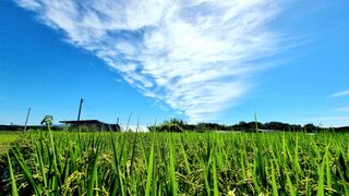 희망농부58님의 자유주제 · 사진전 작성글 사진