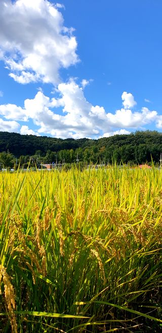 희망농부58님의 자유주제 · 사진전 작성글 사진