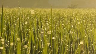 희망농부58님의 자유주제 · 사진전 작성글 사진