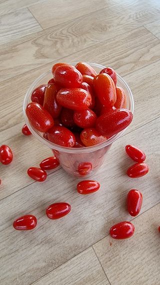 희망농부58님의 자유주제 · 사진전 작성글 사진