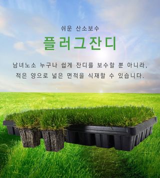 잔디에 살다님의 작성글 사진