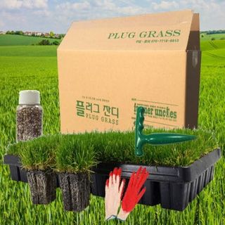 잔디에 살다님의 작성글 사진