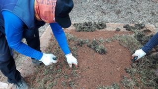 잔디에 살다님의 작성글 사진