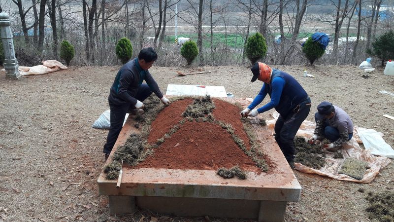 잔디에 살다님의 장터 판매 상품 [플러그잔디세트] 첨부 사진