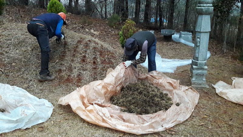 잔디에 살다님의 장터 판매 상품 [플러그잔디세트] 첨부 사진