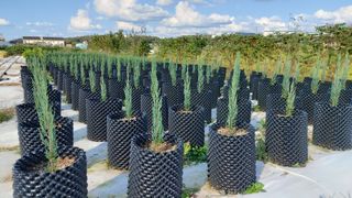 이승재님의 자유주제 · 자유게시판 작성글 사진