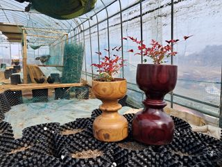 이승재님의 자유주제 · 자유게시판 작성글 사진