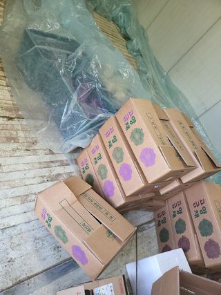 콩6859고미란님의 자유주제 · 사진전 작성글 사진