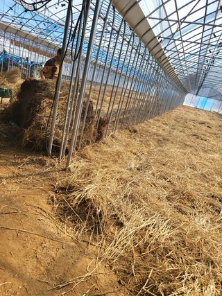 콩6859고미란님의 자유주제 · 사진전 작성글 사진