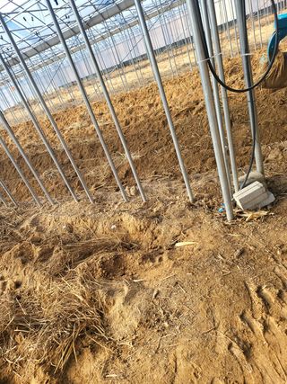 콩6859고미란님의 자유주제 · 사진전 작성글 사진