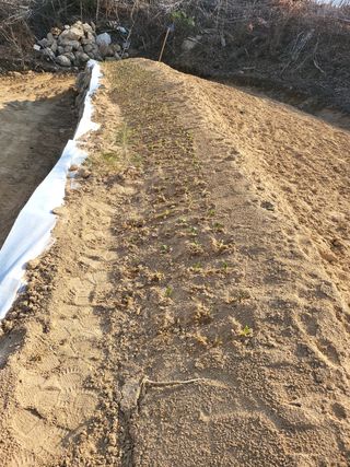 콩6859고미란님의 자유주제 · 사진전 작성글 사진