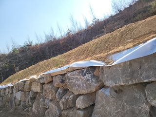 콩6859고미란님의 자유주제 · 사진전 작성글 사진