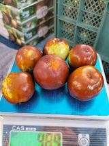 팜모닝 기타작물·자유게시판 게시글 이미지