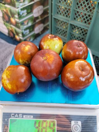 김영아님의 기타작물 · 자유게시판 작성글 사진