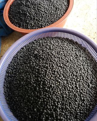 김영아님의 기타작물 · 자유게시판 작성글 사진