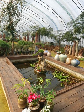 베리맘님의 블루베리 · 자유게시판 작성글 사진