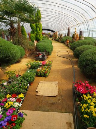 베리맘님의 블루베리 · 자유게시판 작성글 사진