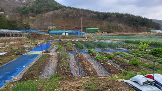 오현성님의 자유주제 · 자유게시판 작성글 사진