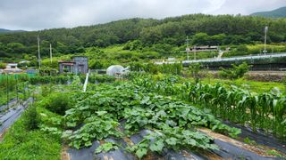 오현성님의 자유주제 · 자유게시판 작성글 사진
