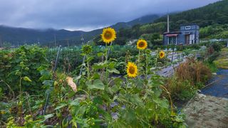 오현성님의 자유주제 · 자유게시판 작성글 사진