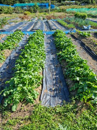 오현성님의 자유주제 · 자유게시판 작성글 사진