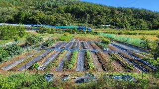 오현성님의 자유주제 · 자유게시판 작성글 사진