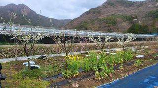 오현성님의 자유주제 · 자유게시판 작성글 사진