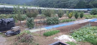 오현성님의 자유주제 · 자유게시판 작성글 사진