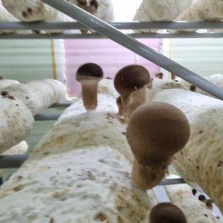 유경식님의 자유주제 · 자유게시판 작성글 사진