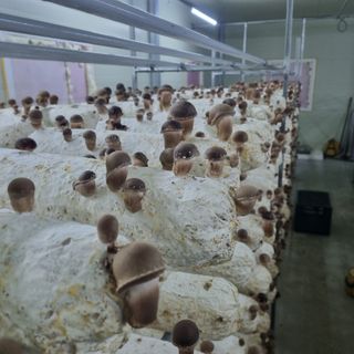 유경식님의 자유주제 · 자유게시판 작성글 사진