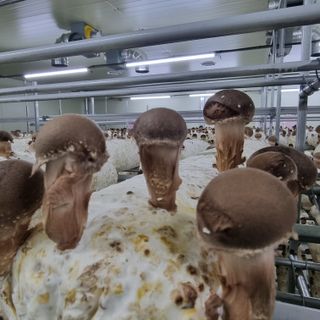 유경식님의 자유주제 · 자유게시판 작성글 사진