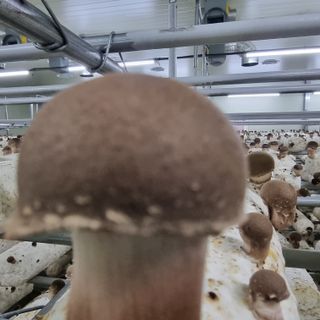 유경식님의 자유주제 · 자유게시판 작성글 사진