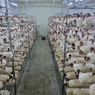 유경식님의 자유주제 · 자유게시판 작성글 사진