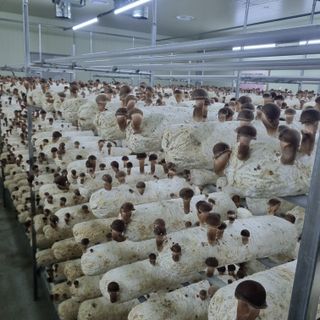 유경식님의 자유주제 · 자유게시판 작성글 사진