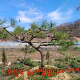 팜모닝 자유주제·사진전 게시글 이미지