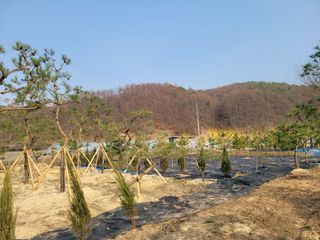 쌍둥이네빠끔살이님의 자유주제 · 사진전 작성글 사진