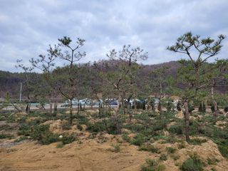 쌍둥이네빠끔살이님의 자유주제 · 사진전 작성글 사진