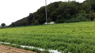 신현효님의 자유주제 · 사진전 작성글 사진