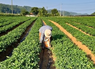 신현효님의 자유주제 · 사진전 작성글 사진