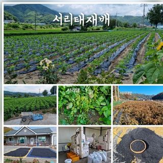 신현효님의 자유주제 · 사진전 작성글 사진