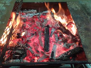 머치자연인님의 자유주제 · 자유게시판 작성글 사진