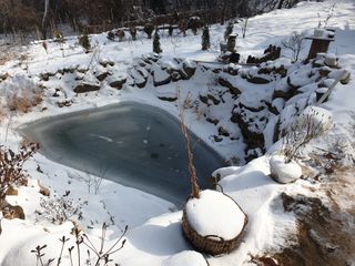 머치자연인님의 자유주제 · 자유게시판 작성글 사진