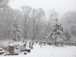 머치자연인님의 자유주제 · 자유게시판 작성글 사진