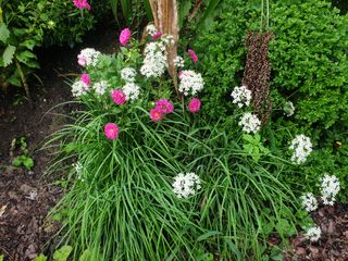 머치자연인님의 자유주제 · 자유게시판 작성글 사진