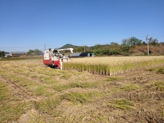 김광섭님의 자유주제 · 사진전 작성글 사진