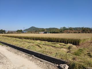 김광섭님의 자유주제 · 사진전 작성글 사진