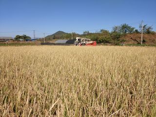김광섭님의 자유주제 · 사진전 작성글 사진